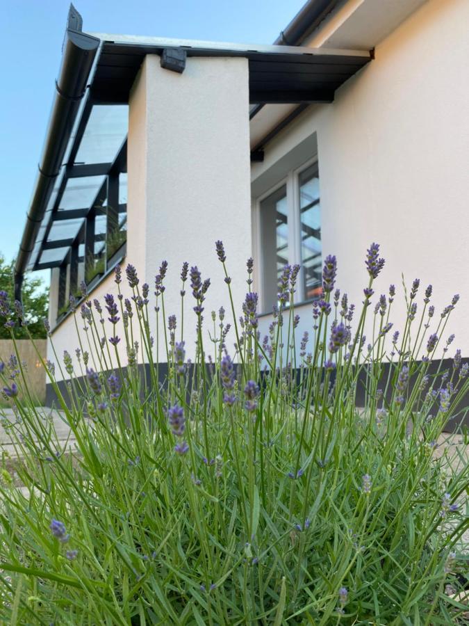 Lavender Garden Apartment Debreczyn Zewnętrze zdjęcie